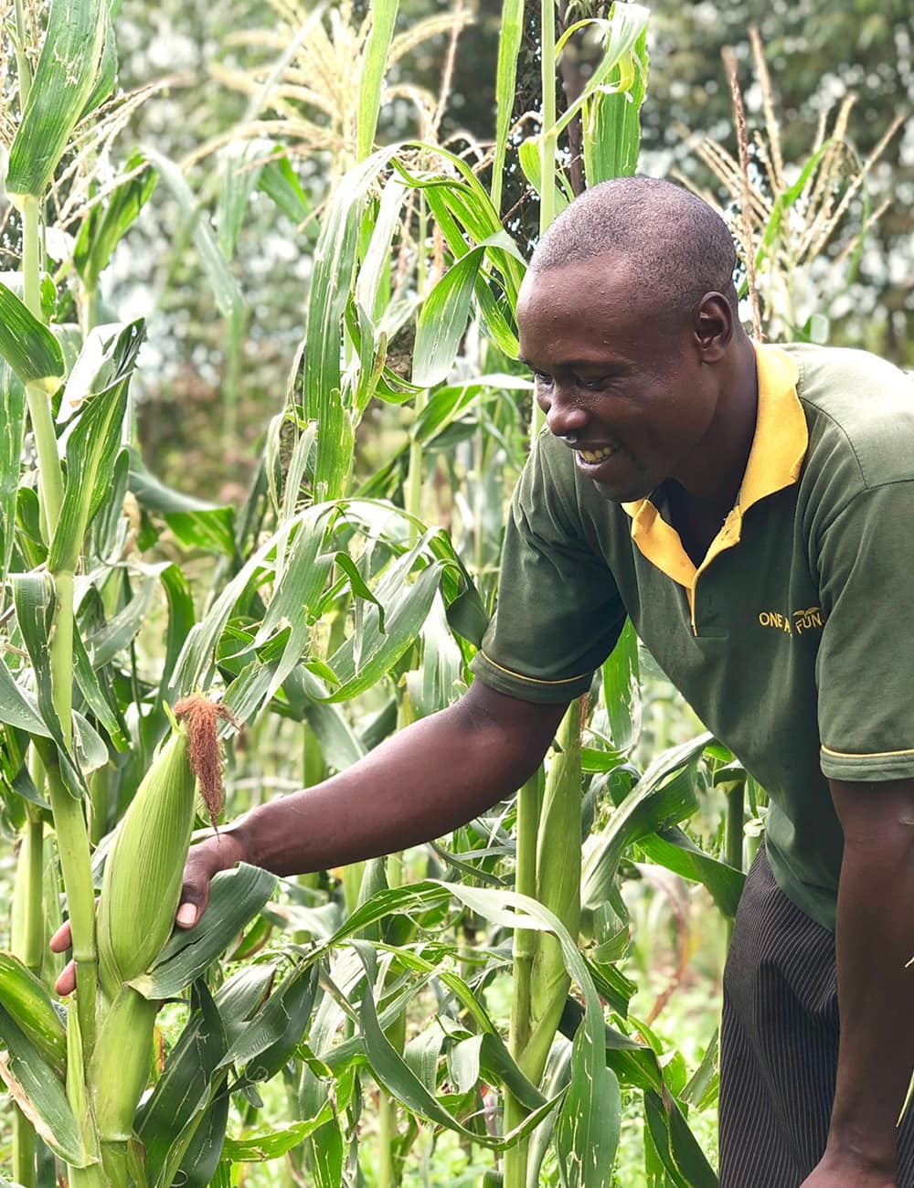 Confessions of a Kiva addict